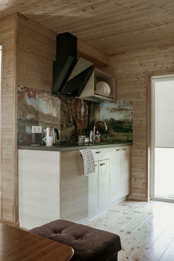 Вилла Atputas Baze Ods Lofts Barta Экстерьер фото